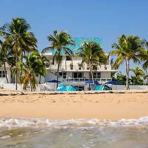 numero-1-guest-house.top-hotels-puertorico.com/